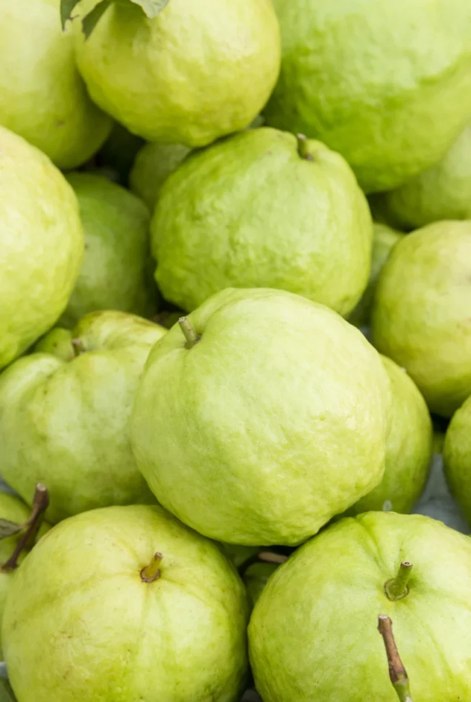 Benefits of Guava Leaf