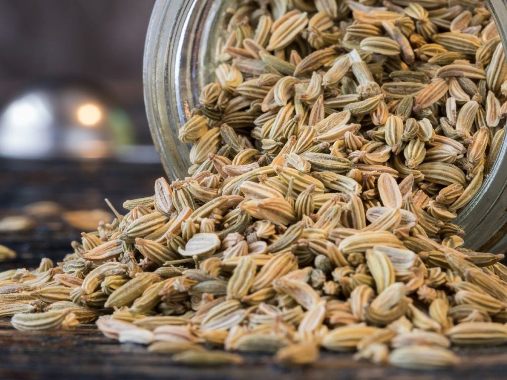 Health Benefits of Fennel Seeds