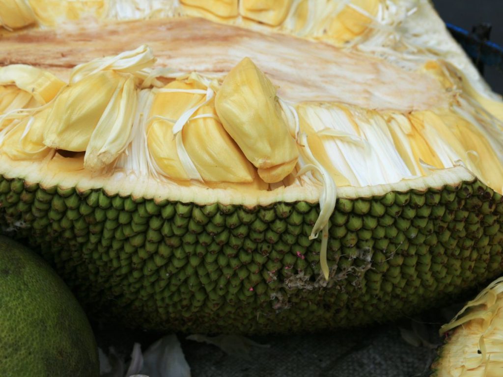 Health Benefits of JACKFRUIT