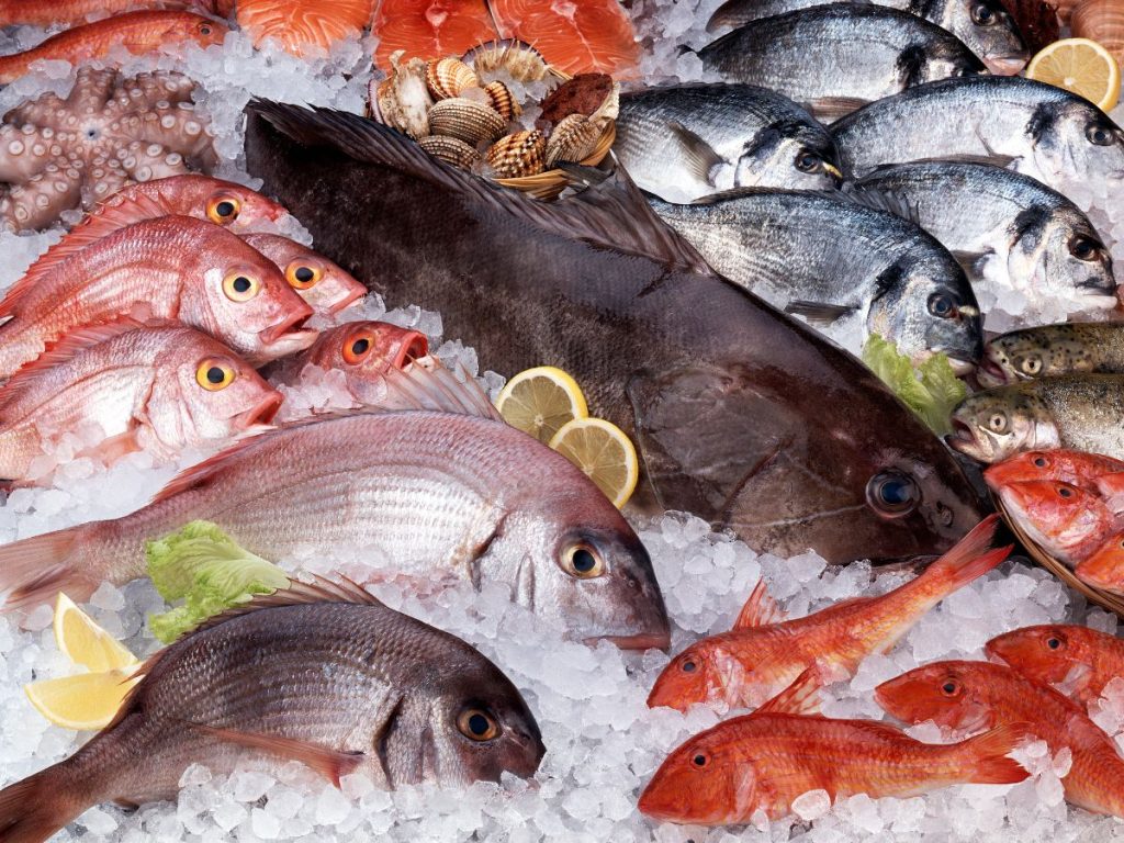 Amazing Benefits of Fish