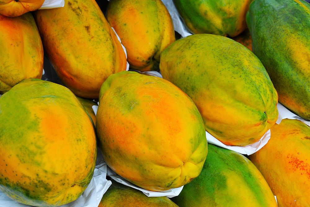benefits of papaya
