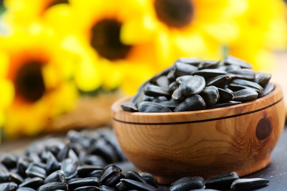 benefits of sunflower seeds
