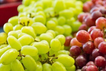 The Top 13 Health Benefits of Grapes