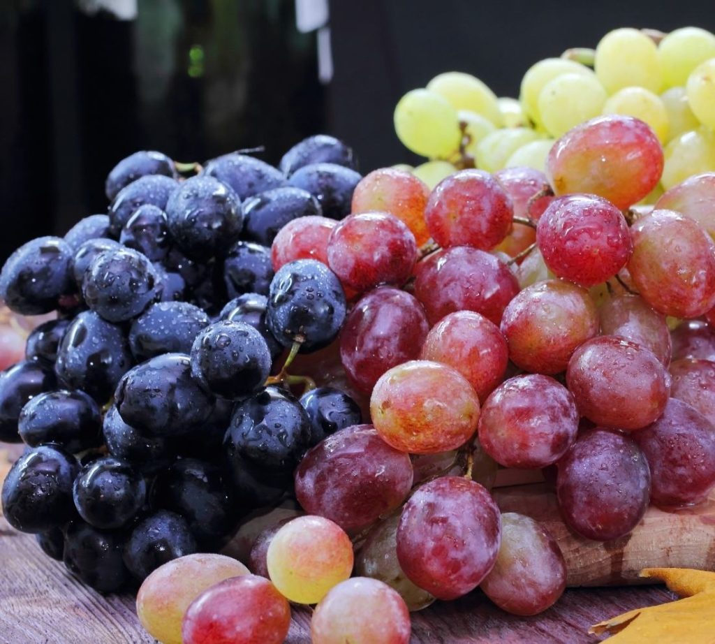 Health Benefits of Grapes