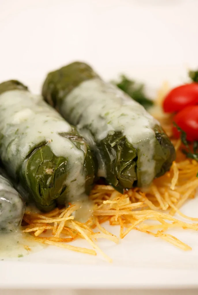 roll dolmades