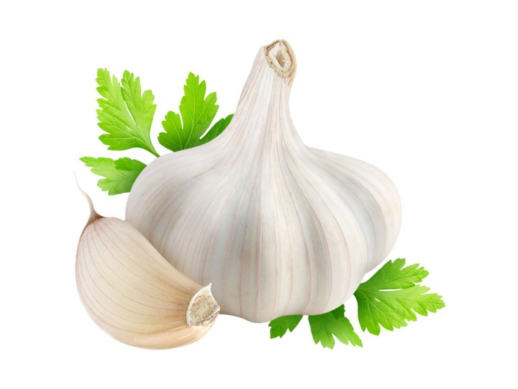 Health Benefits of Garlic