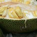 Health Benefits of JACKFRUIT