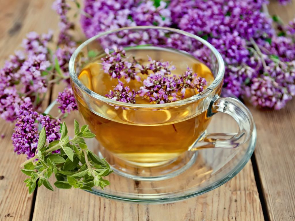 health benefits of Oregano Tea
