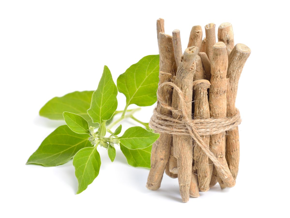 health benefits of ashwagandha