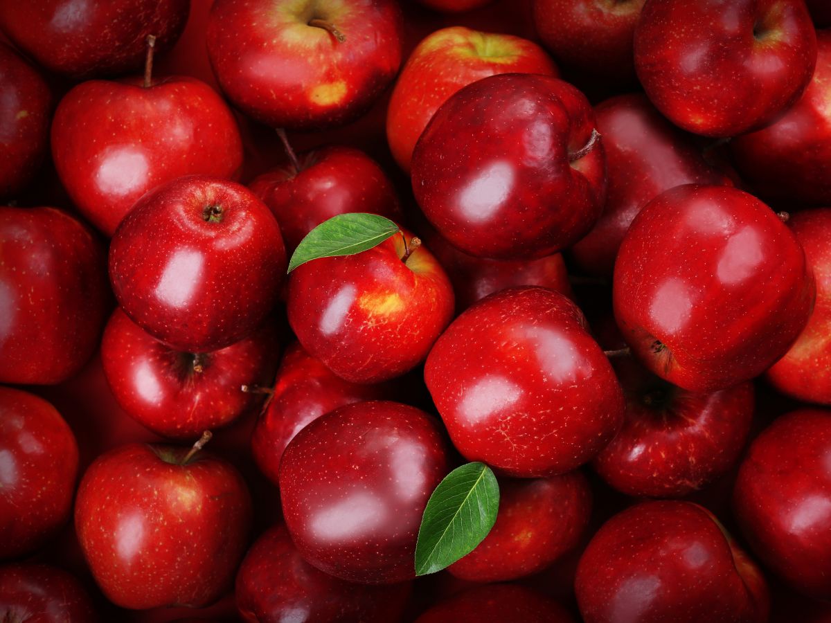 Health Benefits of Apples