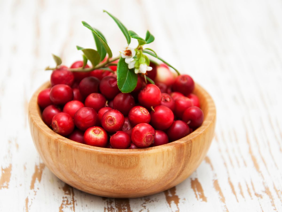 Health Benefits of Cranberries