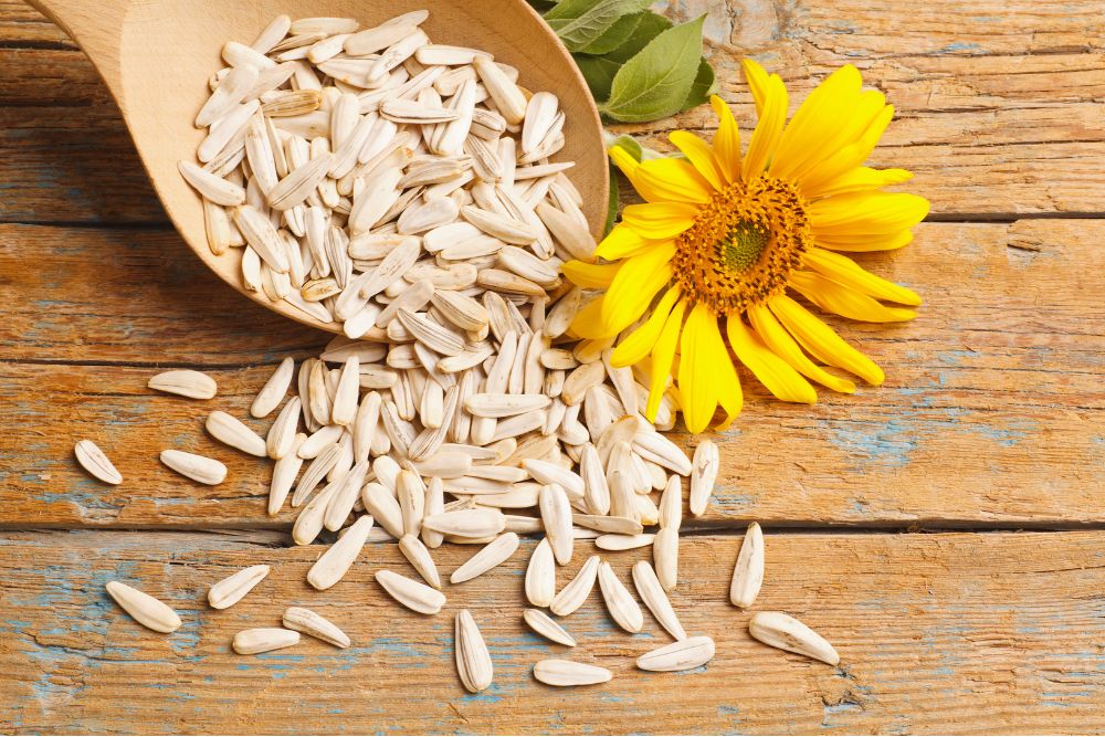 Sunflower Seeds Benefits for Lecithin Supply