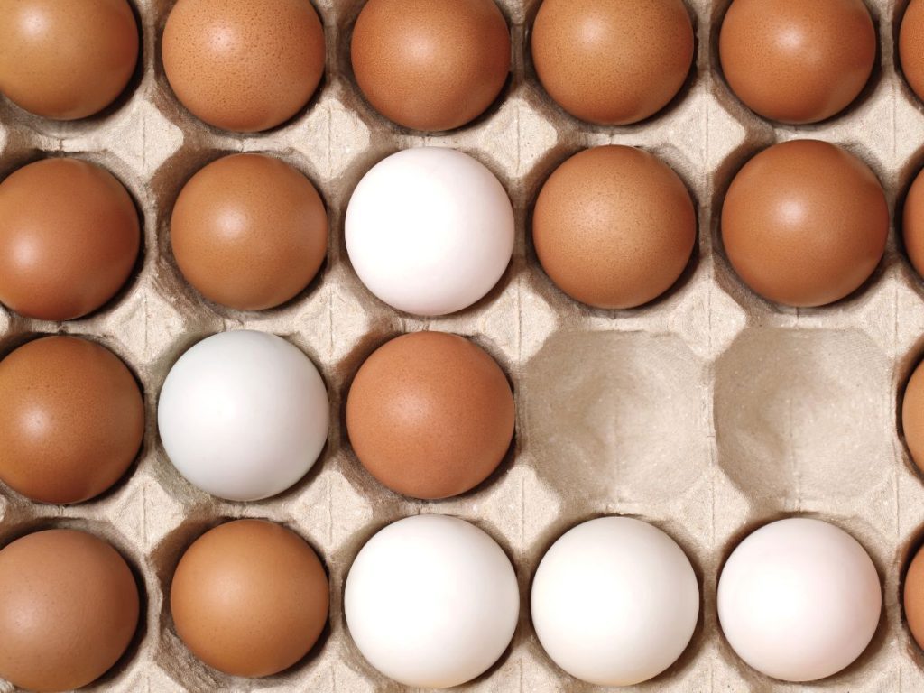 Benefits of Eggs