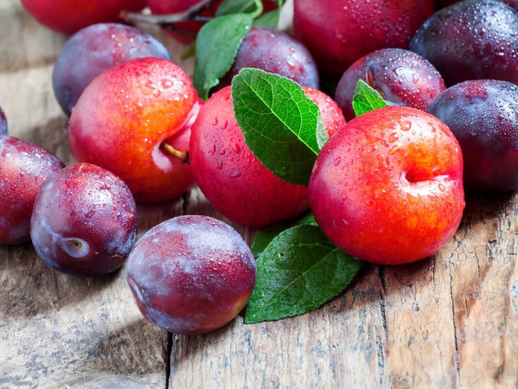 Health Benefits of Plums